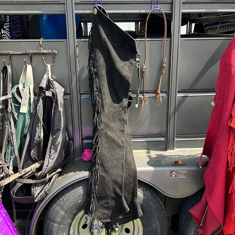 Large, black hobby horse, great condition